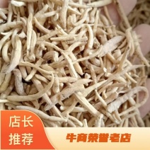 太子参优选太子参产地一手好货零批皆可欢迎咨询