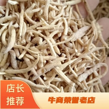 太子参优选太子参产地一手好货零批皆可欢迎咨询