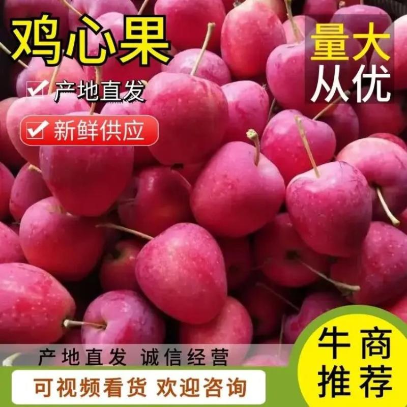 辽宁铁岭苹果鸡心果海棠果对接全国大客商内销外贸出口质量