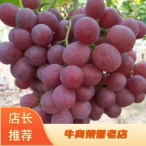 湖南红提，开园红提葡萄，大量上市中，耐运输，专业包装