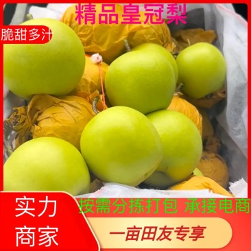 皇冠梨，蜡纸袋皇冠梨，青皮皇冠梨，大量上市，批发商超零售