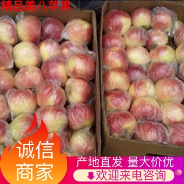 美八苹果膜袋大量上市！货源充足，几毛钱一斤！
