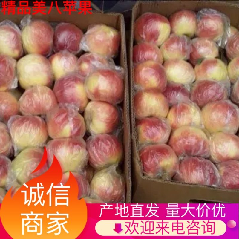美八苹果膜袋大量上市！货源充足，几毛钱一斤！