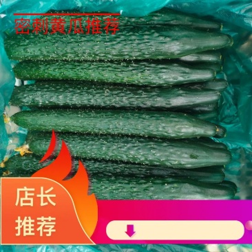 精品蜜剌黄瓜顶花带刺产地一手货源稳定供应市场批发电商团购