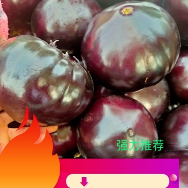 紫光圆茄