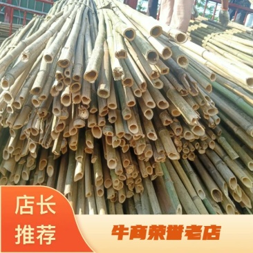 四川广安苦竹，大小长短都有，可按要求定制，欢迎新老客户选购
