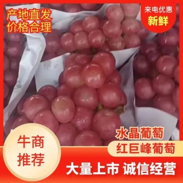 【红巨峰葡萄】水晶葡萄大量上市价格优惠全国发货品质保证