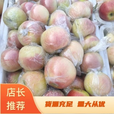 美八苹果红露苹果可视频看货商超直供产地服务