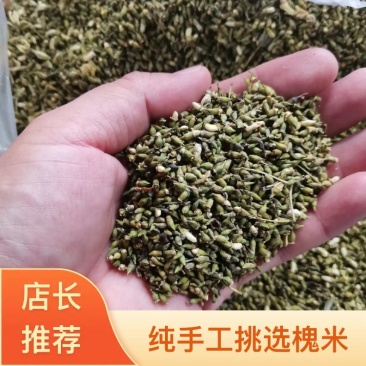 槐米！纯手工挑选槐米！精挑细选！要货随时联系！