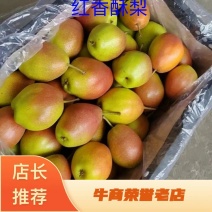 山西临猗（红香酥）大量批发，一件代发中，货源充足！