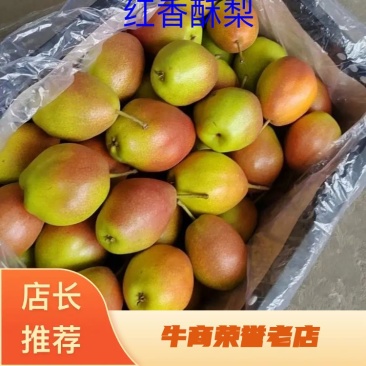 山西临猗（红香酥）大量批发，一件代发中，货源充足！
