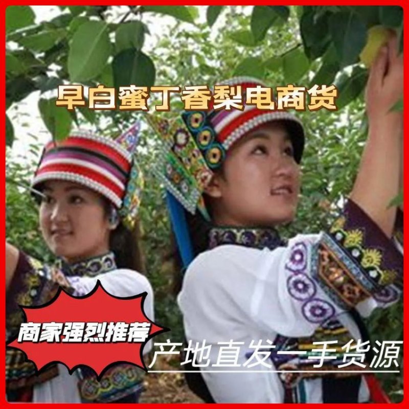 云南红河皇壹甜直供翡翠冰梨，对接全国电商市场客户