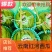 云南红河西瓜大量上市中，规格齐全