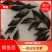 鳜鱼苗(桂花鱼)淡水鱼类分部区域广个大体