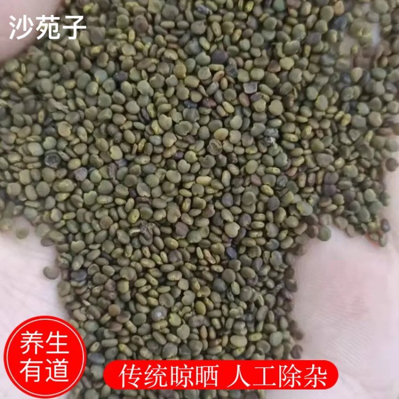 包邮沙苑子净货各种籽药新货批发各种中药材