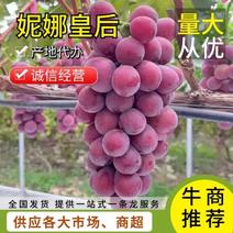 【荐】妮娜皇后葡萄精品凉山葡萄一手货源可视频现场验货