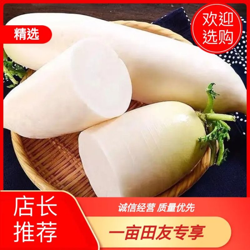 白萝卜萧山白萝卜精品花叶萝卜胡萝卜板叶萝卜口感好新品