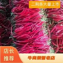 重庆江津区二荆条泡椒大量上市，市场货，电商货全国可供应