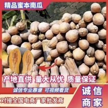 【热卖】精选蜜本南瓜老南瓜一手货源三包服务市场商超电商