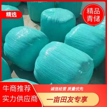 湖北青储品质保证诚信经营欢迎联系带玉米直接粉碎