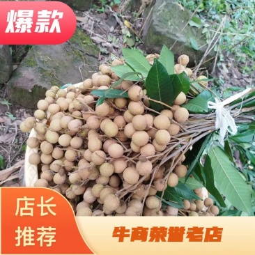 龙眼又名桂圆，这款是龙眼中的储良，全网对接所有平台