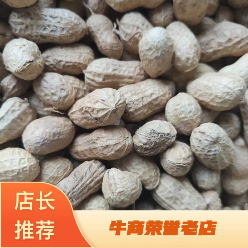 精品花生花豫20色选果货源充足量大从优欢迎咨询