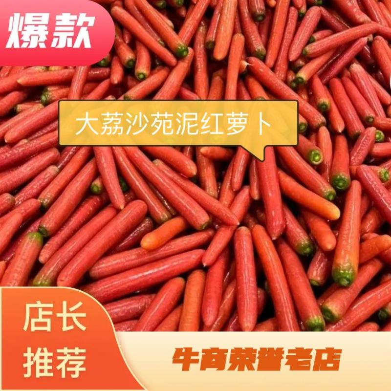 大荔沙苑泥红萝卜红皮萝卜大量供应供应各大市场商超等