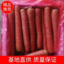 【实力推荐】精品水果红萝卜质量保证产地直发欢迎咨询