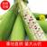 内蒙古冷冻花糯玉米粘玉米水果玉米大量上市代发全国