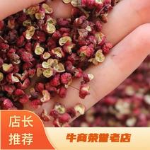 陕西大红袍花椒上市中量大质优品质保证精品大红袍花椒