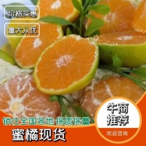 【实力推荐】蜜橘/特早蜜橘/湖北柑橘2024新品上市