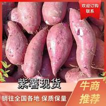 精品紫薯湖南产地紫薯红薯大量供应产地直发诚信经营