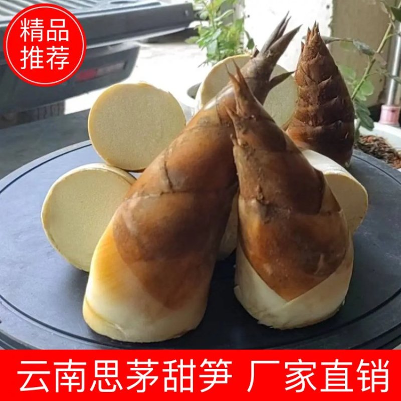 云南思茅甜笋支持一件代发价大货批发