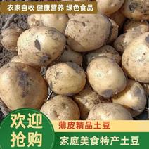 黑龙江宏诚薯业出售大量尤金885，自产自销全国直发