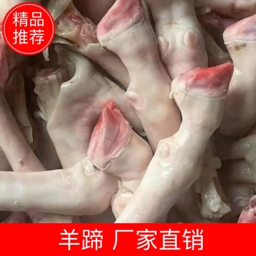 羊蹄，去蹄甲的，源头工厂大量生产加工，有需要的老板下单吧