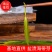 盐渍海带芽（包邮）厂家直供电商社区团购批发市场包邮包票