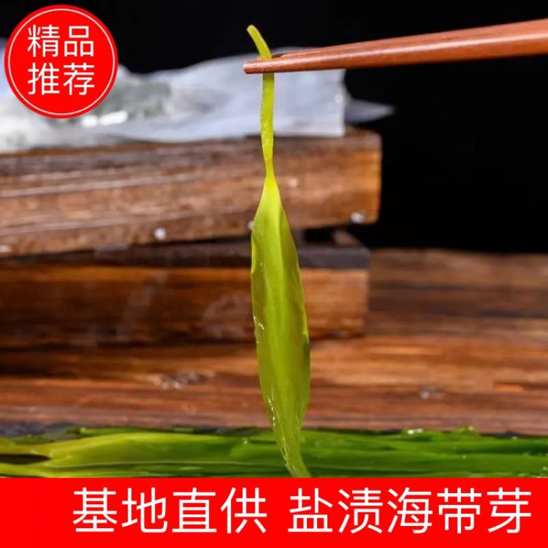 盐渍海带芽（包邮）厂家直供电商社区团购批发市场包邮包票