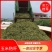 【实力推荐】甜玉米秸秆牛羊好饲草产地直发大量有货