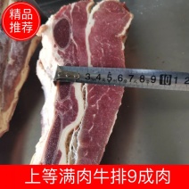 上等满肉牛排9成肉可切段切块省内次日达不