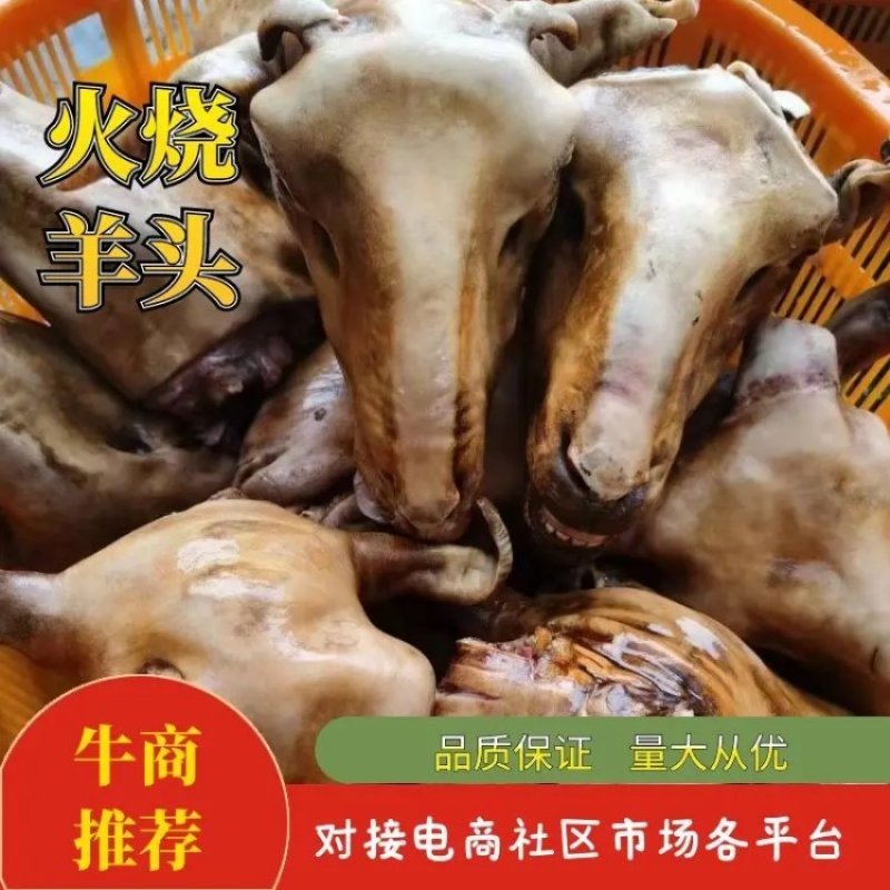 火烧内蒙羔羊羊头肉质紧实品质保障价格优惠全国可发视频看货
