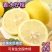 【牛商优选】精品黄柠檬精选大果一手货源皮薄多汁量大