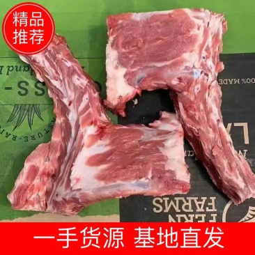 羊羔排大羊方肩骨排大肉多一手货源基地直发可视频看货