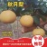 烟台正宗秋月梨上市，糖度12化渣好，欢迎新老客户来电洽谈
