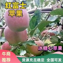 红富士苹果冰糖心苹果四川大凉山产地直发价格优惠一手货源