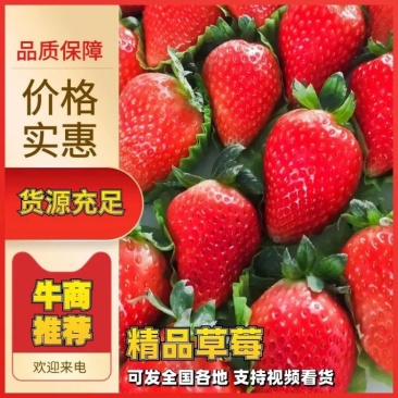 妙香草莓实力代办一条龙服务价格优惠品质好全国供货