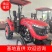 金大丰XL500农用拖拉机大棚王三点悬挂