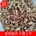 【推荐】广西五指毛桃中根大量上市产地直销电联洽谈