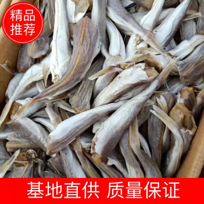 皮棍鱼，一款咸鱼，没有任何乱刺，质量保证，净13斤