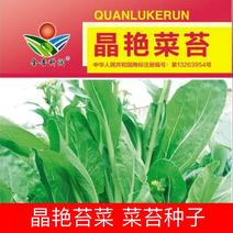 白菜苔种子晶艳苔菜菜苔种子全国发货品质好