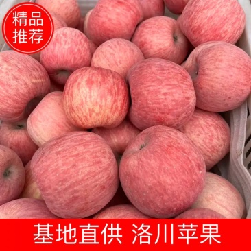 洛川苹果通货一手货源代办商品高次货源充足甜脆多汁支持代发